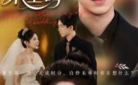 《老婆婚礼，我当证婚人&老婆婚礼我当证婚人&白纱未垂时（54集）》短剧全集免费流畅播放