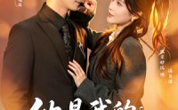 《他是我的命中注定（80集）》热门短剧完整版在线看
