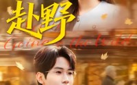 《赴野（40集）》高分短剧全集在线播放