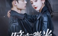 《暗夜微光（86集）》短剧超长剧集一次看过瘾