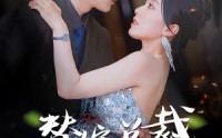 《替嫁总裁是大佬（81集）》精彩短剧高清播放