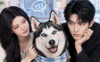 《骗你是小狗（20集）》爆款短剧免费全集速看