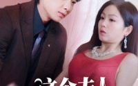 《这个夫人不好当（62集）》短剧免费全集线上享