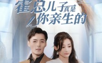 《霍总儿子真是你亲生的（82集）》精彩短剧全集畅看