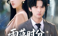 《雨落时分别再相逢（70集）》短剧全集高清在线览