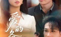《爱的备忘录（94集）》热门短剧高清全集在线播