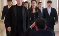 《风云令》（100集）短剧高清免费看