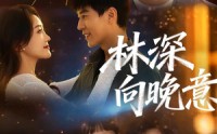 《林深向晚意（70集）》免费短剧全集畅享观看