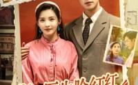 《斯文医生脸红红八零杀猪婆追着哄（66集）》短剧全集免费高清畅播