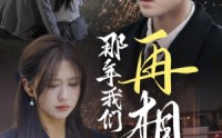 《那年我们再相逢（65集）》感人短剧完整在线