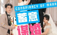《蓄意谋婚（30集）》高清短剧全集在线
