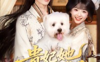 《贵妃她不想卷了（60集）》爆款短剧全集在线观赏