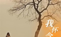 《我怀念的你（38集）》短剧全剧情在线免费享