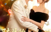 《陆总的掌心娇宠（60集）》优质短剧全集免费追