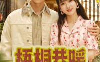 《梧桐巷暖（61集）》经典短剧在线看个过瘾