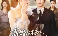 《离婚后才知，我竟是他的白月光（64集）》热门短剧在线高清播放