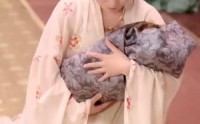 《我能来回穿梭女儿国》（83集）热门短剧抢先看