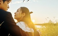 《不好惹的顾助理（67集）》独家短剧全集免费播放