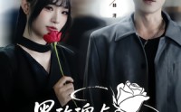 《黑玫瑰与天才操盘手（81集）》爆款短剧在线抢先看