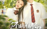 《还剩三个月寿命，请让我从容赴死（71集）》高清短剧全集畅享