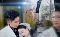 《想你时风起（69集）》情感短剧全集尽情享受