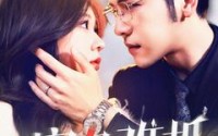 《蜜色难抵（142集）》高清短剧全集在线畅看