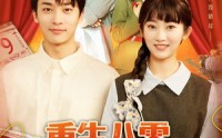 《重生八零，假少爷入赘下乡（72集）》短剧高清免费全集览