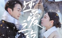 《逆爱之殇（60集）》热门短剧免费无删减看