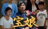 《宝娘（23集）》爆款短剧免费畅享全集