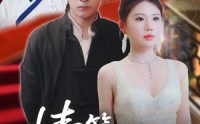 《情笺藏龙魄（65集）》短剧免费看全集不卡
