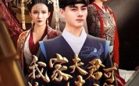《我家夫君可搬山填海（64集）》精彩短剧在线连播
