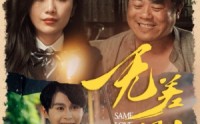 《无差别的爱》（69集）全集短剧流畅看