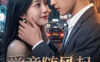 《爱意随风起，风止意难平（36集）》短剧全集在线畅快观赏
