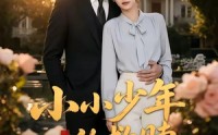 《小小少年的救赎（100集）》短剧全集免费畅享观看