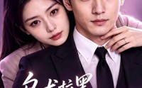 《乌龙拉黑，收获顶级偏爱（48集）》热门短剧全集免费畅享