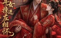 《将军女撞进左相怀（29集）》免费短剧完整版在线赏