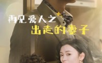 《再见爱人之出走的妻子（85集）》热门短剧剧情抢先看