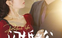 《闪婚老公相逢不相识（90集）》全集短剧免费追剧神器