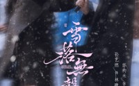 《雪落无声（20集）》短剧全集高清在线播放