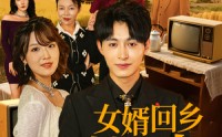 《女婿回乡全村风光（69集）》热门短剧一键畅享全集