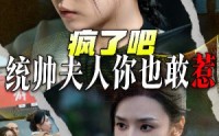 《疯了吧统帅夫人你也敢惹（33集）》热门短剧全集观看