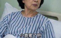 《潜龙出世之都市枭龙（80集）》免费短剧全集在线热播