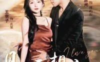 《见面不如相恋（71集）》精彩短剧在线高清观看