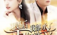 《退婚后我继承了万亿家产（99集）》必看短剧全集放送