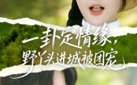《一卦定情缘，野丫头进城被团宠（61集）》优质短剧免费在线品鉴