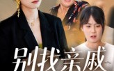 《别找亲戚当保姆（35集）》热门短剧全集免费观