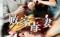 《败家毒妻（32集）》高清短剧在线欣赏