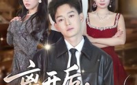《离开后，才知有他（73集）》优质短剧在线免费追看
