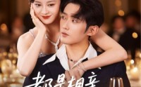 《都是相亲惹的祸（72集）》免费短剧高清全集速看