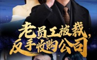《老员工被裁反手收购公司（34集）》商战短剧一口气追完